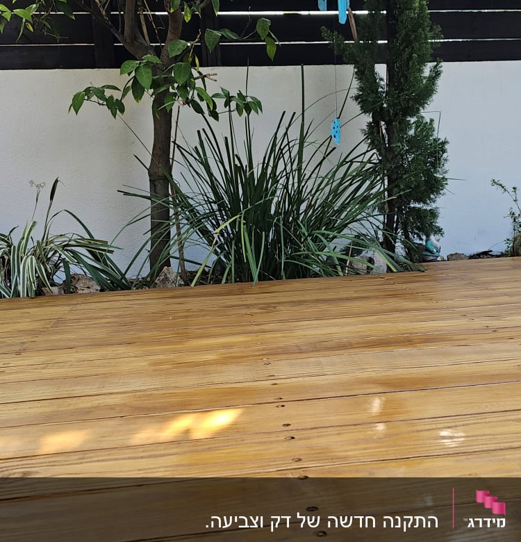 דק עץ בגינה עם צמחים מסביב